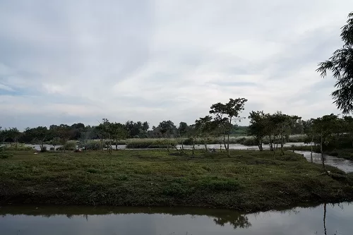 Villas with activities